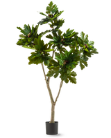 Konstgjorda växten Ficus Carica fikonträd 180 cm är en konstgjord växt i kruka med breda, glänsande gröna blad och små bruna frukter, som liknar ett fikonträd, mot en vit bakgrund.