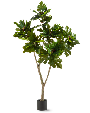 Konstgjorda växten Ficus Carica fikonträd 180 cm är en konstgjord växt i kruka med breda, glänsande gröna blad och små bruna frukter, som liknar ett fikonträd, mot en vit bakgrund.