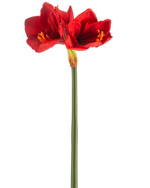 Den konstgjorda blomman Amaryllis Real Touch röd 66 cm har en enda grön stjälk med två stora, livfulla röda blommor och gula ståndare, mot en vanlig vit bakgrund.