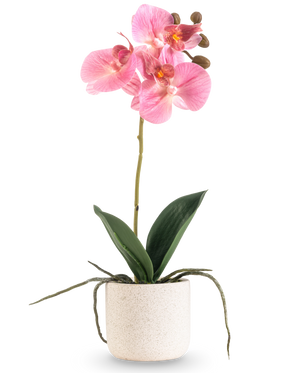 Artificiell orkidé Real Touch 30 cm rosa har flera rosa blommor och knoppar på en lång stjälk med breda gröna blad och synliga rötter, allt arrangerat i en enkel vit strukturerad kruka mot en vanlig vit bakgrund.