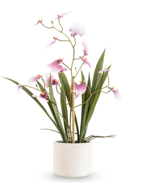 Artificiell Oncidium Real Touch 48 cm rosa har en lång orkidé med långa gröna blad och fina rosa blommor på böjda stjälkar, i en vit strukturerad kruka mot en vanlig vit bakgrund.
