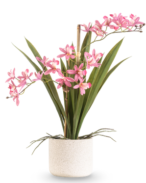 Artificiell växt Mini Cymbidium Real Touch 45 cm rosa har långa gröna blad och flera rosa blomstammar, arrangerade i en enkel kruka med vit struktur och mot en enkel bakgrund.
