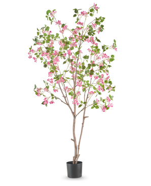 Den konstgjorda bougainvillean 210 cm är ett högt konstgjort träd med smala bruna grenar, gröna blad och klasar av ljust rosa blommor i en enkel svart kruka mot en vit bakgrund.