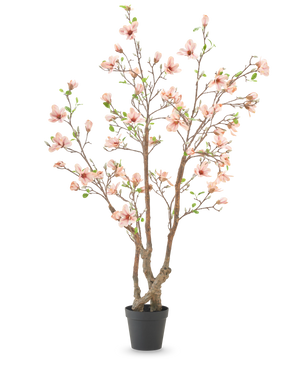 Konstgjorda växten Magnolia 220 cm är ett konstgjort magnoliaträd i kruka med flera bruna grenar, ljusrosa blommor och gröna blad i en enkel svart kruka mot vit bakgrund.