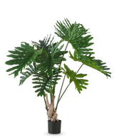 Den konstgjorda växten Philodendron 150 cm har stora, glänsande, djupt flikiga gröna blad på långa stjälkar, mot en vanlig vit bakgrund.