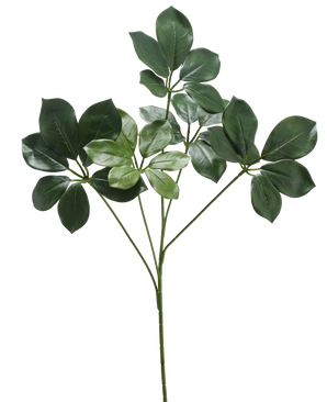 Den konstgjorda grenen Schefflera 50 cm FR har en enda stjälk med flera knippen breda, mörkgröna blad och några ljusgröna blad, mot en vit bakgrund.