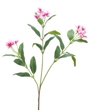 En artificiell Catharanthusblomma 68 cm i fuchsia/kräm med långa, smala gröna blad och klasar av fembladiga blommor visas mot en vanlig vit bakgrund.