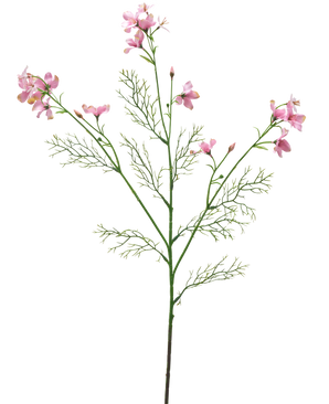 Artificiell blomma Wild Delphinium 71 cm ljusrosa har en enda grön stjälk med fjäderlika blad och flera klasar av känsliga ljusrosa blommor mot en vanlig vit bakgrund.