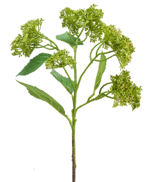 En konstgjord blomhortensia 56 cm grön/röd med grön stjälk med knippen av kompakta gröna knoppar och långsträckta blad, avbildad mot vit bakgrund.