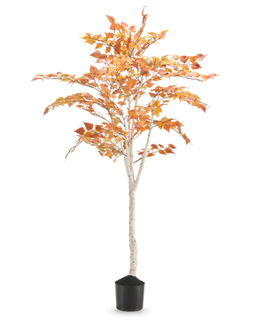 Konstbjörken "Hösten" 150 cm är en hög konstbjörk med en smal vit stam och orangegula höstlöv, i en liten svart kruka mot en vanlig vit bakgrund.