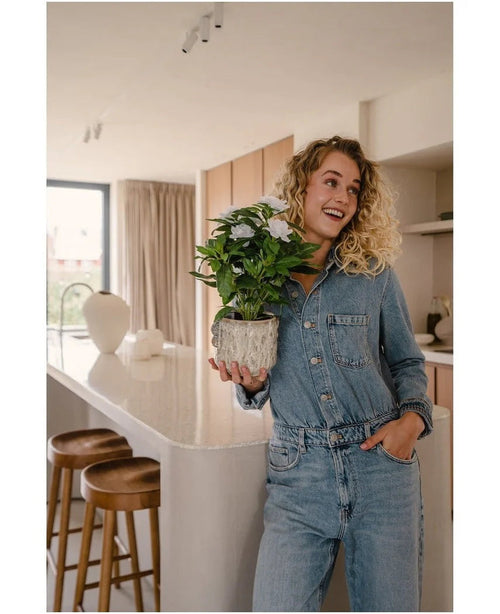 En leende kvinna i jeansoverall står i ett modernt kök, med den Artificiella Gardenia UV 39 cm vit konstgjord växt i händerna. Träpallar står uppradade längs en vit bänkskiva och solljuset strömmar in genom ett fönster i bakgrunden.