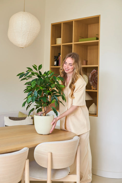 En kvinna med långt blont hår, klädd i ljusa kläder, ler när hon placerar en konstgjord växt Ficus Green 90 cm på ett trämatbord i ett modernt, väl upplyst rum inrett med hyllor och neutrala toner. Den realistiska 90 cm konstgjorda växten ger rummet en uppfriskande touch av grönt, vilket gör att det känns livligt och inbjudande - ett idealiskt val för en elegant kontorsväxt.