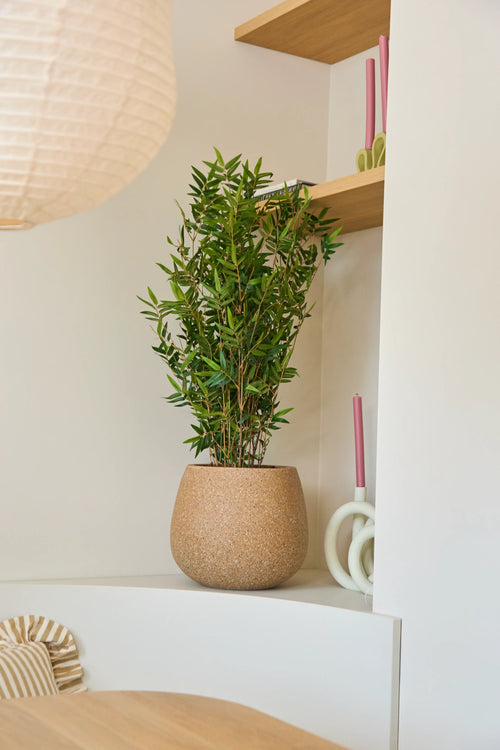 En Artificiell Plant Bamboo Deluxe på 90 cm står på en vit hylla bredvid två vända rosa ljus och träplankor; en rund lampskärm och en randig kudde är delvis synliga.