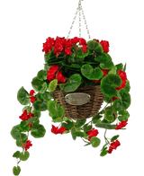 Konstgjord begonia Röd i korg UV 70cm