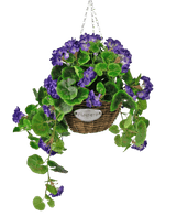 Konstgjord begonia lila i korg UV 70cm