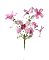 Konstgjord blomma Cosmos 74 cm rosa