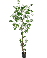 Konstgjord växt Ficus 210 cm
