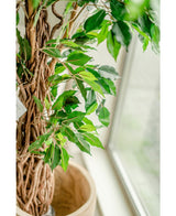 Konstgjord växt Ficus Tropical Liana 180 cm