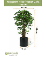 Konstgjord växt Ficus Tropical Liana 180 cm