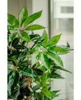 Konstgjord växt Schefflera 150 cm