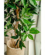 Konstgjord växt Schefflera 150 cm