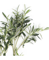 Konstgjort olivblad 90 cm flamsäkert