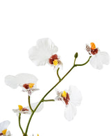 En närbild på Artificiell Oncidium Real Touch 48 cm vit visar de känsliga vita orkidéblommorna med gula och bruna mittpunkter mot en vanlig vit bakgrund.