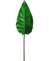 Ett enstaka konstgjorda blad Alocasia 76 cm konstgjorda blad, levande grönt med framträdande ådror och en slät yta, fäst på en lång, tunn stjälk, mot en vanlig vit bakgrund.