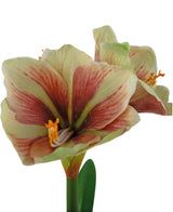 En närbild av den konstgjorda blomman Amaryllis Real Touch Red/Yellow 48 cm visar de livfulla röda och gula kronbladen, naturtrogen struktur och gröna blad mot en vit bakgrund.