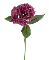 Den konstgjorda blomman Charlotte Hydrangea Real Touch lila 55 cm har en enda stjälk av en lila hortensia med flera små kronblad och gröna blad, mot en vanlig vit bakgrund.