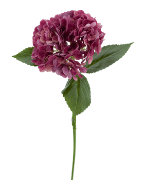 Den konstgjorda blomman Charlotte Hydrangea Real Touch lila 55 cm har en enda stjälk av en lila hortensia med flera små kronblad och gröna blad, mot en vanlig vit bakgrund.