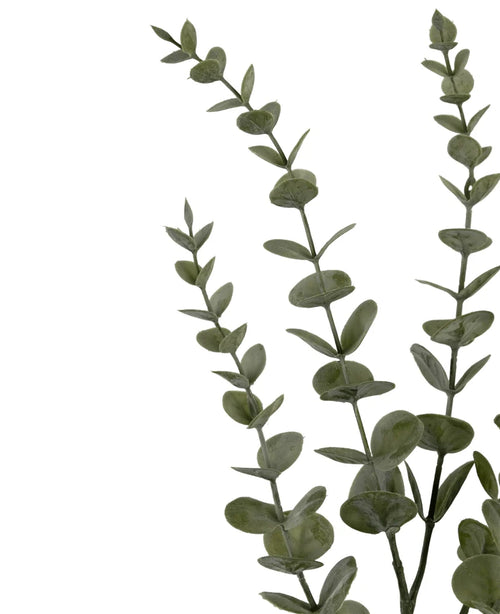 Tre konstgjorda blommor Eucalyptus Yugali stjälkar (71 cm) med runda gröna blad, arrangerade diagonalt på en vit bakgrund.