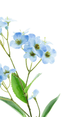 En närbild av den konstgjorda blomsterorkidén Real Touch Blue 50 cm, med känsliga ljusblå orkidéer med ett gulgrönt hjärta och gröna blad mot en vanlig vit bakgrund.