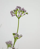Konstgräs Purjolök Blomma Lök Gräs Pot 100 cm brandskyddsmedel har en enda grön stjälk med klasar av små, känsliga ljuslila blommor, avbildade mot en vanlig vit bakgrund.