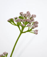 En närbild på konstgräs Purjolök Blomma Lök Gräskruka 90cm brandskyddsmedel visar en grön stjälk med klasar av små, ljusrosa blommor mot en vanlig vit bakgrund.