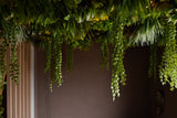 Artificiell Hedge Lush Deco Deluxe 100x100 cm UV lägger till en frodig, grön baldakin till taket och ger livfulla lövverk till ett dunkelt inre utrymme med enkla bruna väggar.