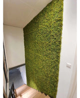 En trappa med trästeg löper längs en grön vägg täckt med Artificiell Hedge Nordic Moss 50x50 cm UV, vilket ger ett naturligt, strukturerat element till de vita väggarna och modern, minimalistisk lyxig interiör i utrymmet.