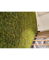 En lyxig inredning med en vertikal grön vägg av Kunsthaag Nordic Moss 50x50 cm UV, frodig bredvid en modern träfälla. Den vinklade bilden framhäver den rika texten av mossan och en del av en dörröppning ovanför.