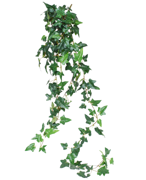Den konstgjorda hängväxten Ivy Boston är en 120 cm lång grön klätterväxt med glänsande murgrönablad, perfekt för att lägga till grönska mot en vit bakgrund.