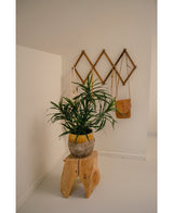 Den konstgjorda växten Dracaena Reflexa i kruka UV 63 cm dekorerar ett minimalistiskt rum med vita väggar, placerad på en naturlig träpall. Ett väggställ i trä på baksidan rymmer en liten brun väska och krämiga tyger för en tropisk inredning.