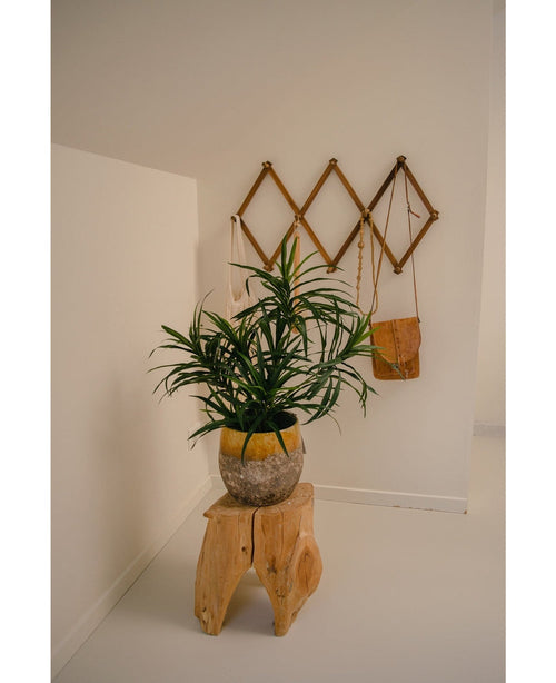 Den konstgjorda växten Dracaena Reflexa i kruka UV 63 cm dekorerar ett minimalistiskt rum med vita väggar, placerad på en naturlig träpall. Ett väggställ i trä på baksidan rymmer en liten brun väska och krämiga tyger för en tropisk inredning.