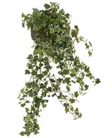 Artificiell murgröna Deluxe Rich Green-White 90 cm har långa, hängande stjälkar och frodiga gröna blad med vita kanter, som graciöst faller för en naturlig look mot vilken bakgrund som helst.