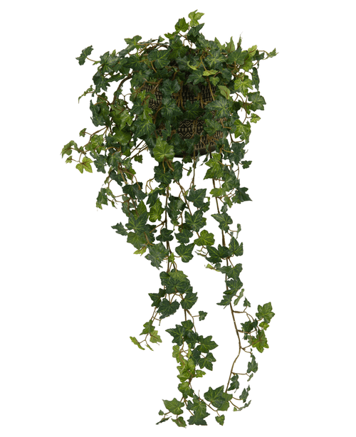 Artificial Ivy Deluxe Green 90cm är en hängande korg med frodiga, gröna murgrönarankor som kaskaderar elegant mot en vit bakgrund.