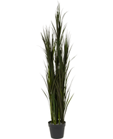 Konstgräs Bordeaux UV 150 cm består av högt konstgräs med långa, smala gröna blad, arrangerade i en liten svart kruka, avbildad mot en vit bakgrund.