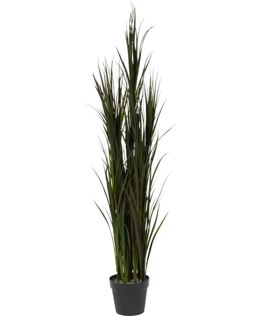 Konstgräs Bordeaux UV 150 cm består av högt konstgräs med långa, smala gröna blad, arrangerade i en liten svart kruka, avbildad mot en vit bakgrund.