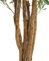 Närbild av ett antal bruna stammar med grov bark och några gröna blad mot en vanlig vit bakgrund, med det konstgjorda olivträdet UV 120 cm: en lättskött, UV-beständig konstgjord växt för varaktig skönhet inomhus eller utomhus.