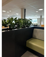 En modern sittgrupp inomhus har en grön soffa med kuddar, delad av en svart panel med Artificiell Plant Syngonium UV 58 cm på. Stora fönster och takljus fyller utrymmet med ljus och skapar en öppen, grön oas.