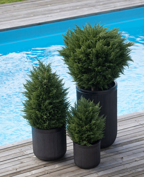 Tre konstgjorda växter barrträd deluxe UV 60 cm i svarta räfflade planteringskärl ger grönska till din träterrass vid den blå poolen - perfekt för en grön trädgård med snygga, väderbeständiga konstgjorda växter utanför.