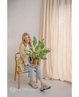 En leende kvinna sitter på en trästol med den konstgjorda växten Calathea Makoyana 60 cm i en designkruka. Hon är klädd i en beige kavaj, ljusa jeans och sneakers. Ljusgardiner i bakgrunden förstärker rummets minimala och lätta utseende.