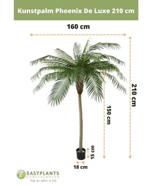 Konstgjord palm Phoenix De Luxe 210 cm: konstgjord palm, max bredd 160 cm, stamhöjd 150 cm, kruka storlek H15xØ18 cm. Varumärke och nederländsk text är synliga.